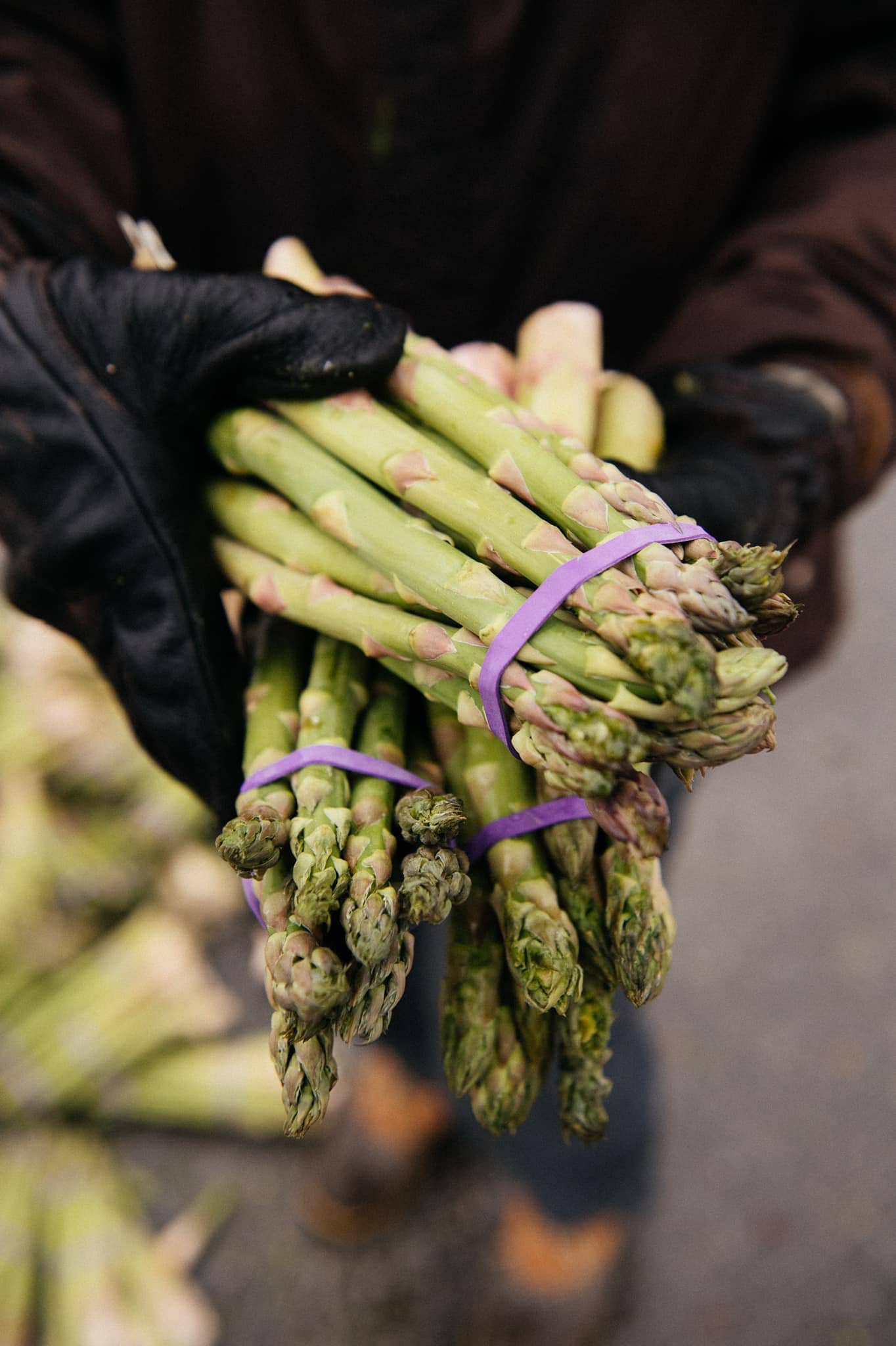 A One Generation Away volunteer holds asparagus at a mobile food pantry distribution in Franklin, Tennessee at Centennial High School in 2022. Photo credit goes to Kris Orlowski.