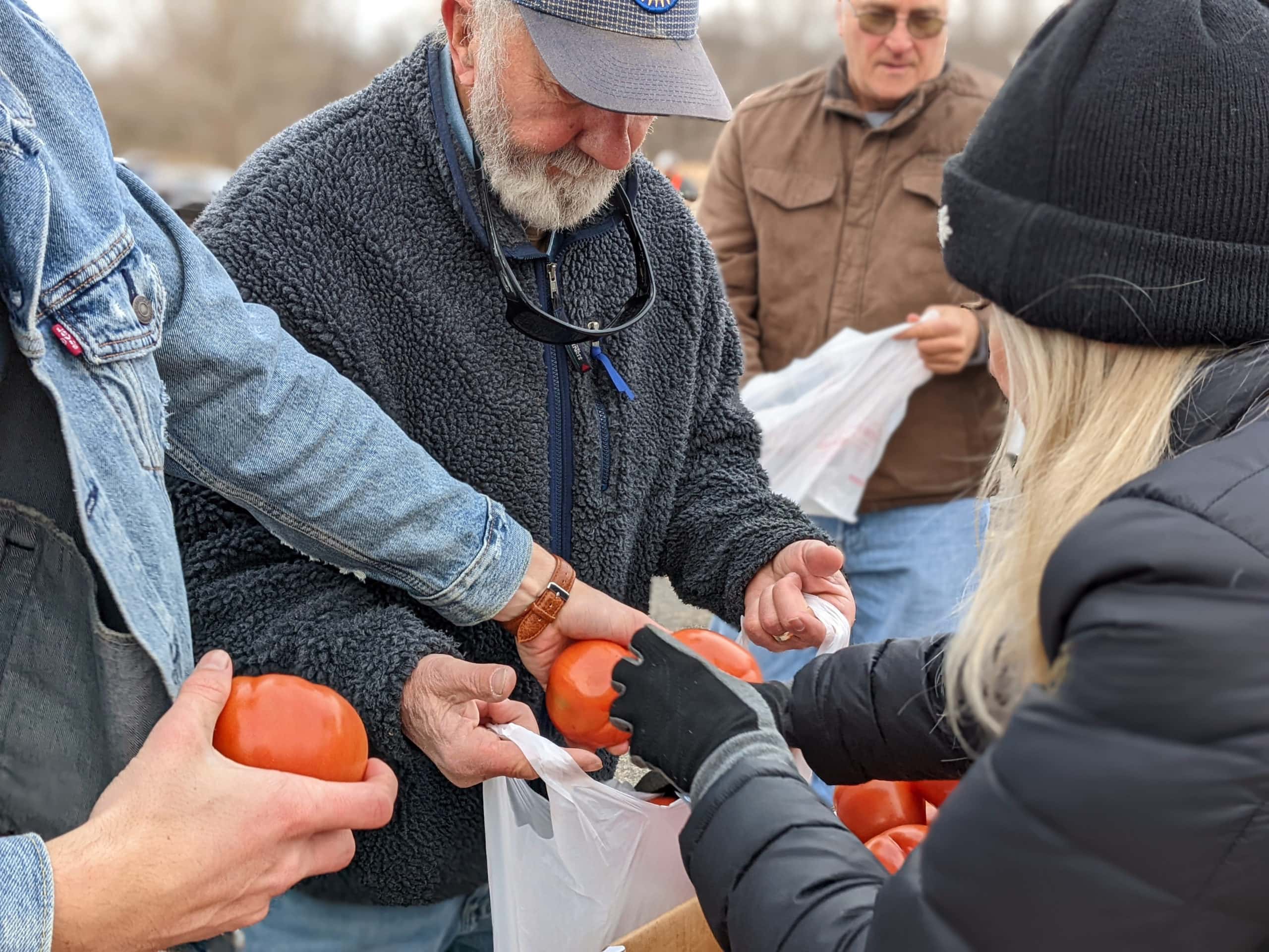 OneGenAway volunteers separate tomatoes into bags at a mobile food pantry distribution.